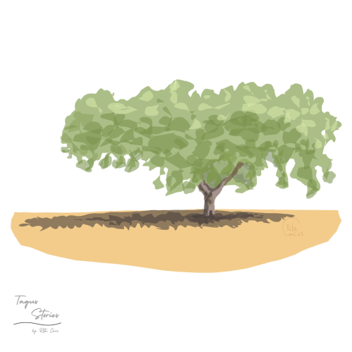 Árvore Única No Estilo Dos Desenhos Animados. Árvore Grande Velha